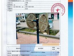 大轉(zhuǎn)輪檢驗(yàn)報(bào)告